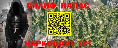 гидропоника Бийск