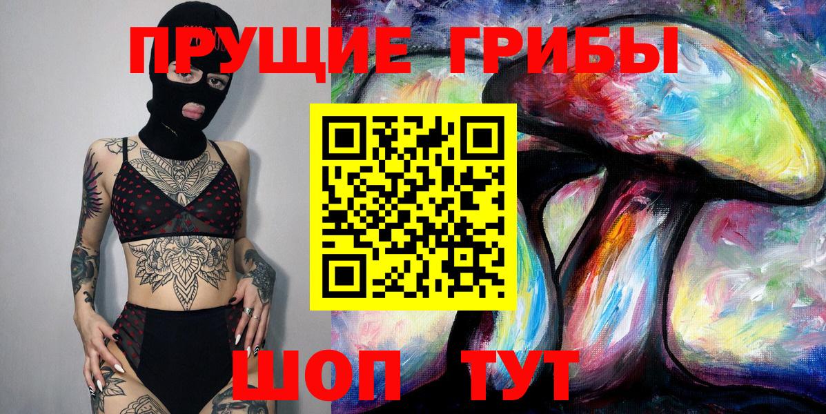 Псилоцибиновые грибы мицелий Камышлов