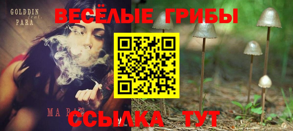 Псилоцибиновые грибы Psilocybe  Вход с VPN  Камышлов 